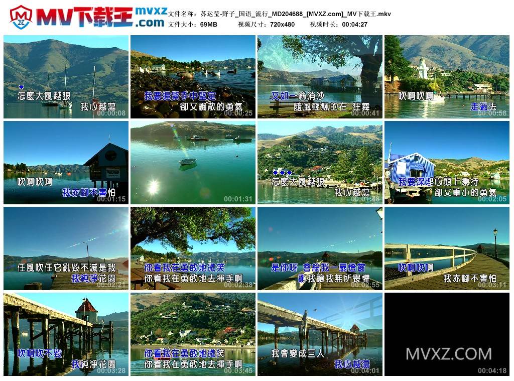 苏运莹-野子_国语_流行_MD204688